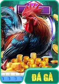 Đá Gà