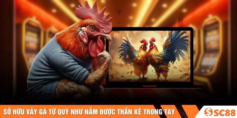 Vảy Gà Tứ Quý | Bí Mật Linh Kê Và Cách Nhận Biết Thần Kê 2026 2 Sơ đồ vị trí vảy tứ quý hàng nội và hàng ngoại trên chân gà chọi - Vảy gà tứ quý